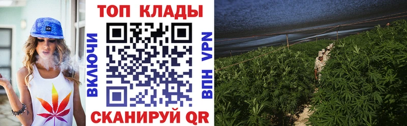  COCAIN Брянск