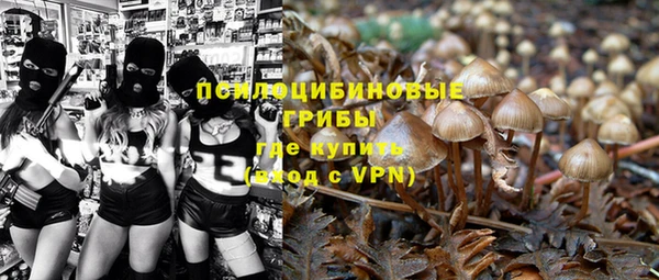 a pvp Кукмор