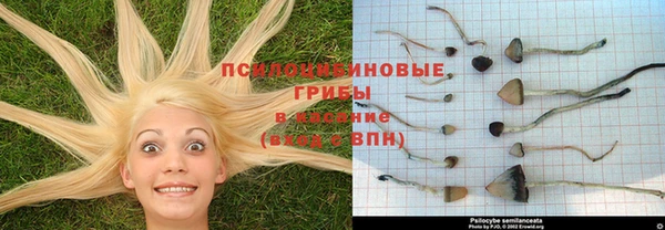 прущий лед Алексин