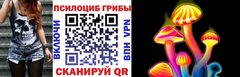 Купить  Брянск  Псилоцибиновые грибы GOLDEN TEACHER 